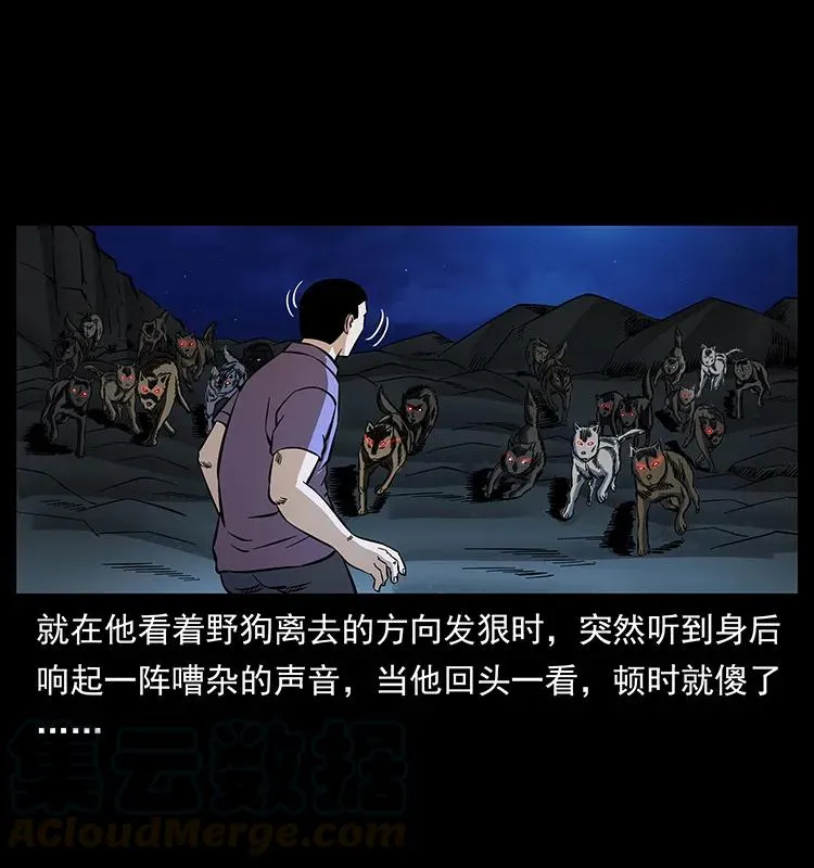 170 布局 第17页