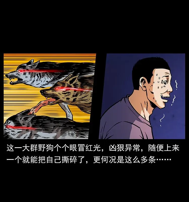170 布局 第19页