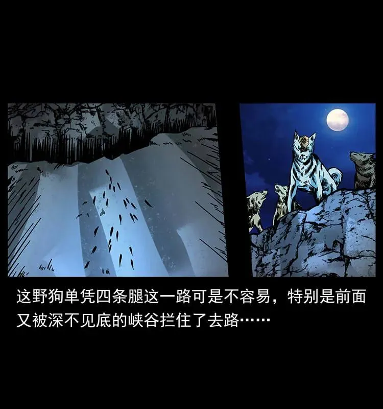 170 布局 第24页