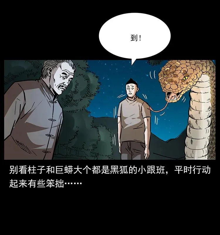 170 布局 第40页