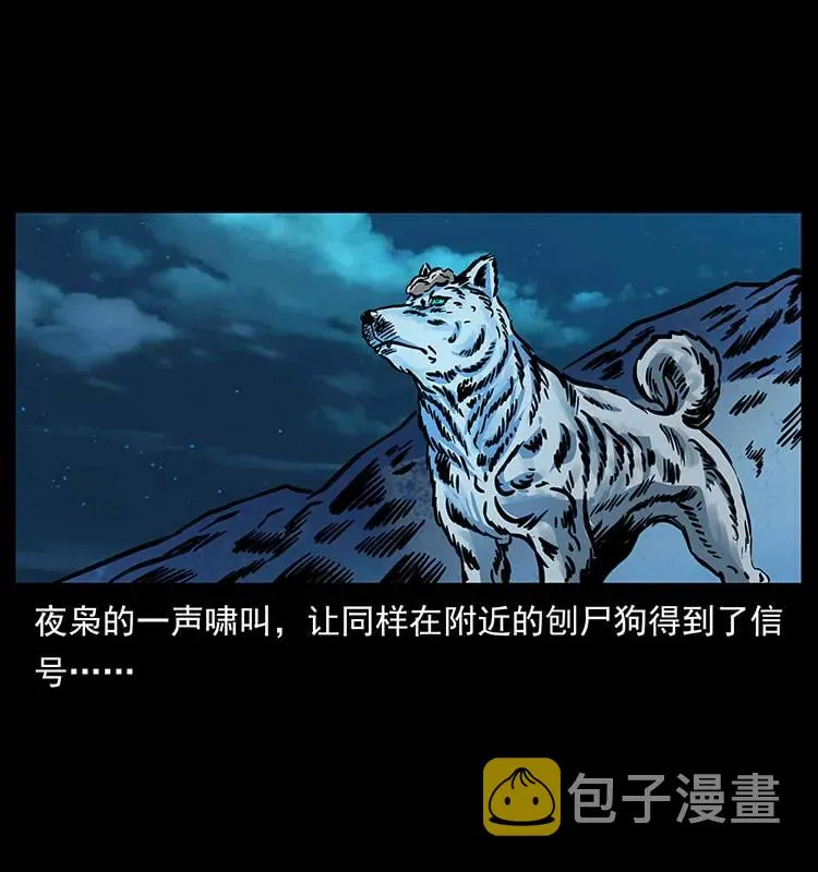 170 布局 第55页
