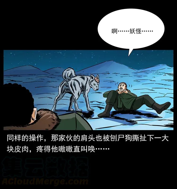 170 布局 第73页