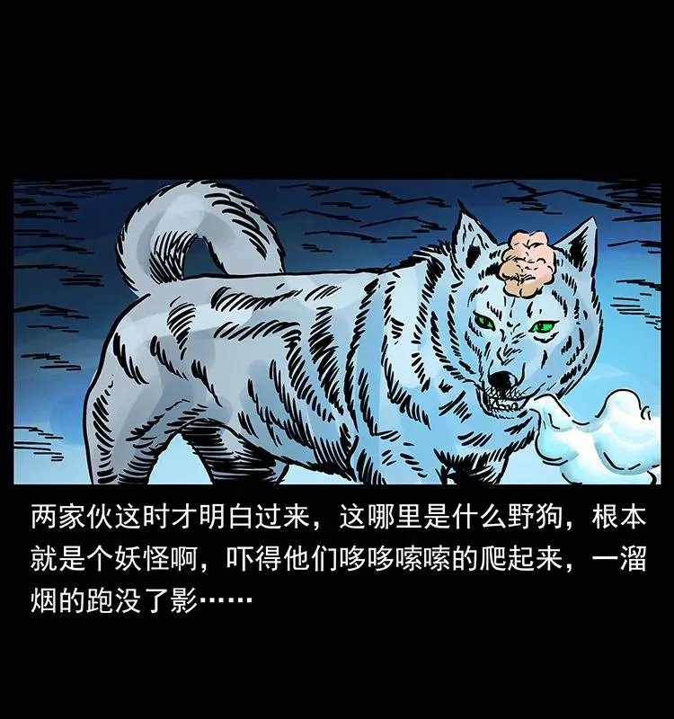170 布局 第75页