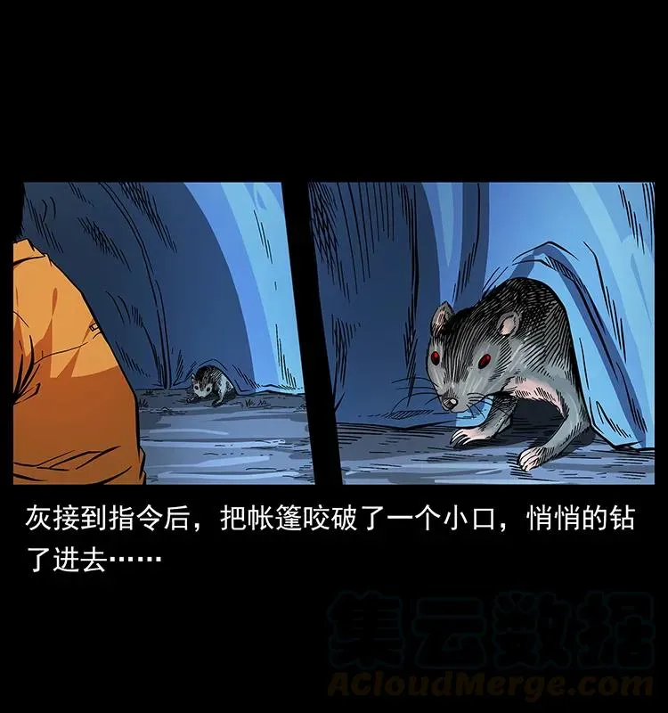 174 无间道 第37页