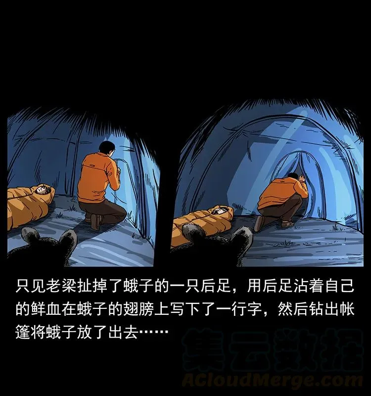 174 无间道 第41页