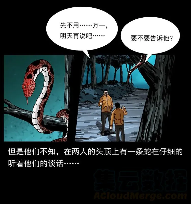 174 无间道 第49页