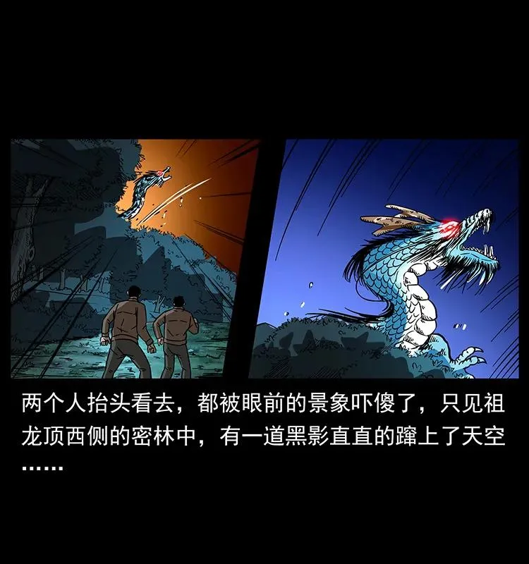 173 踏入龙家 第38页