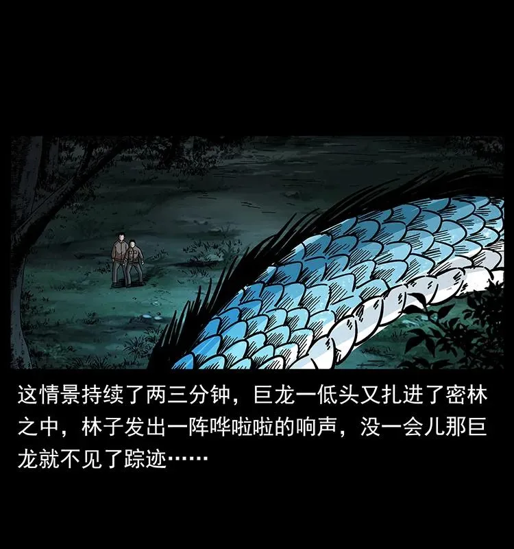173 踏入龙家 第40页