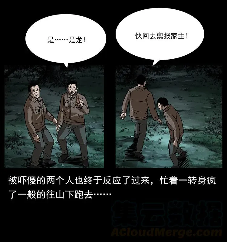 173 踏入龙家 第41页
