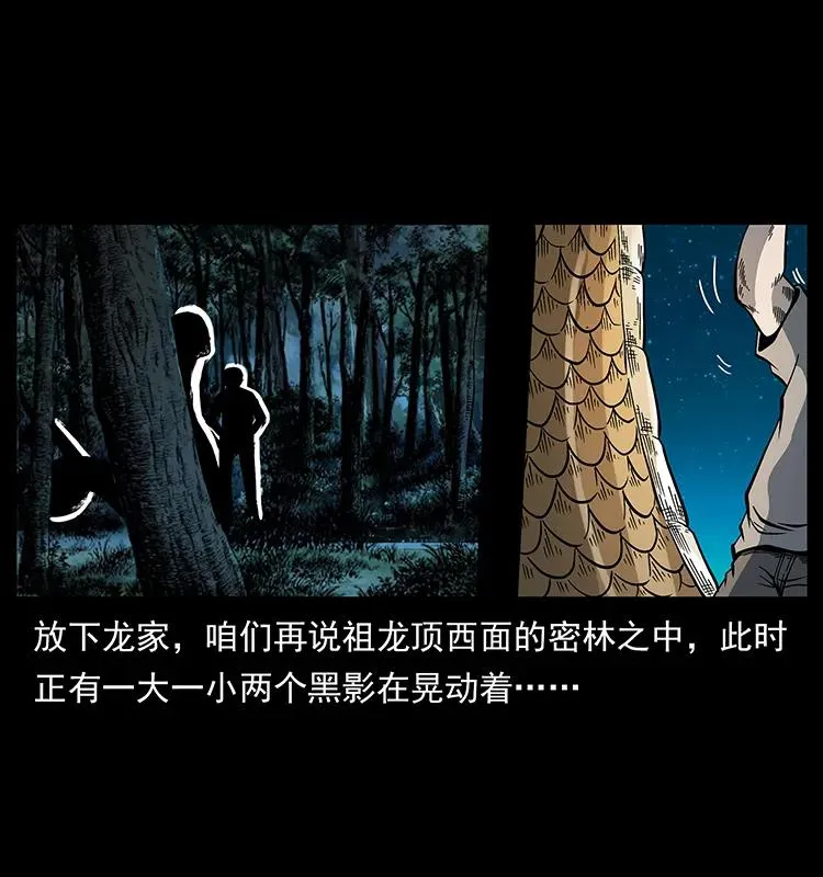 173 踏入龙家 第87页