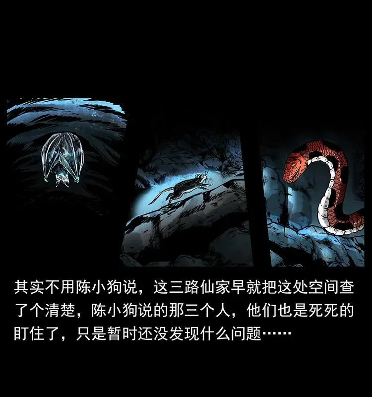 175 入龙洞 第19页
