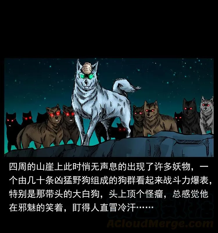 176 对峙祖龙顶 第85页