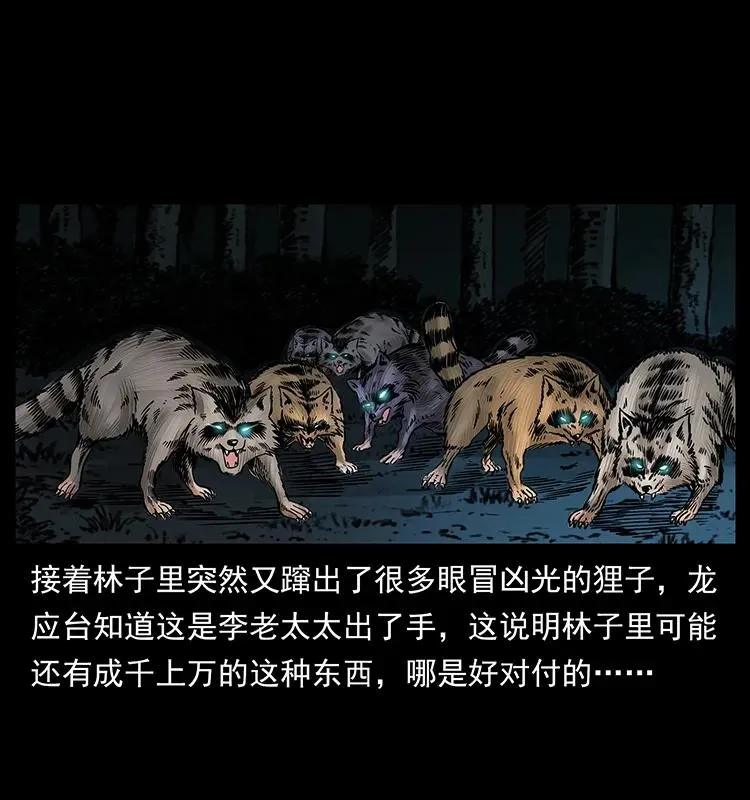 176 对峙祖龙顶 第86页