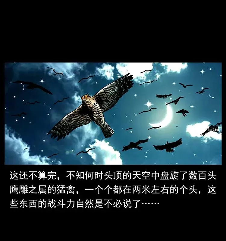 176 对峙祖龙顶 第87页