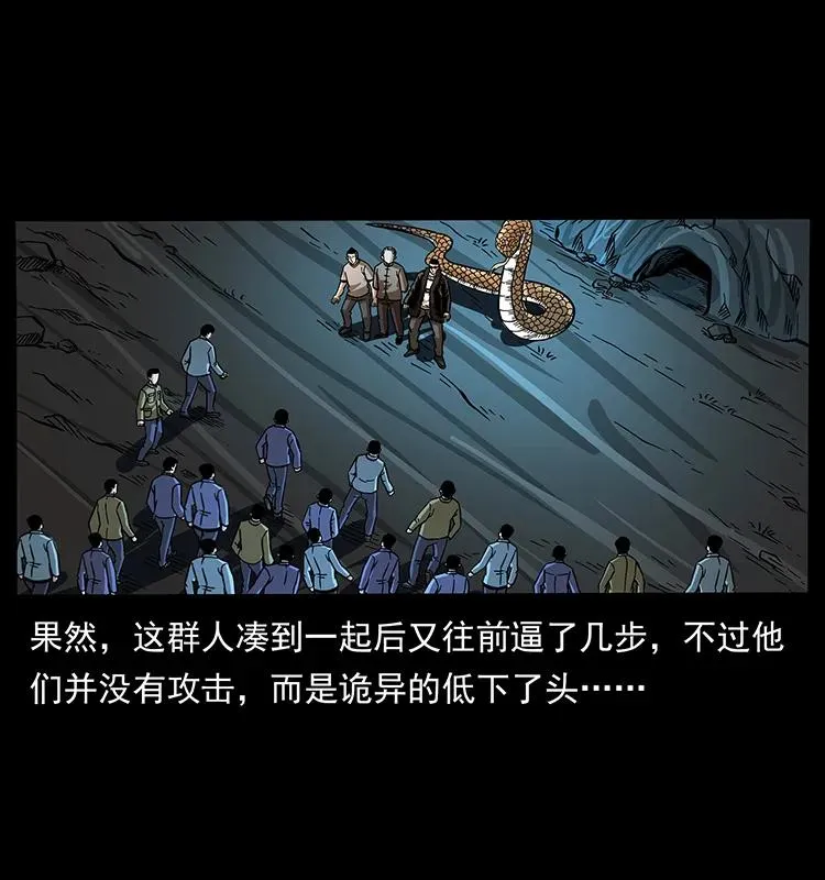 179 龙家的实力 第12页