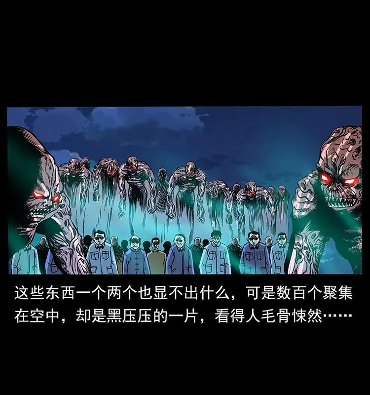 179 龙家的实力 第14页