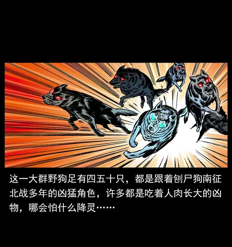 179 龙家的实力 第28页