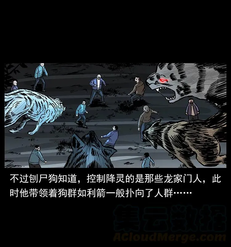 179 龙家的实力 第29页