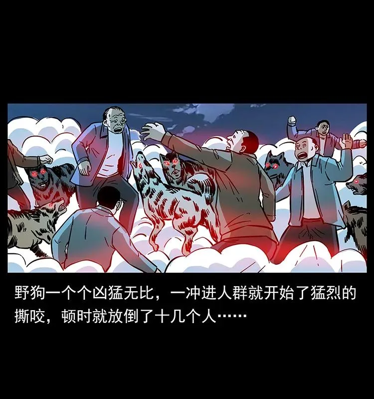 179 龙家的实力 第30页