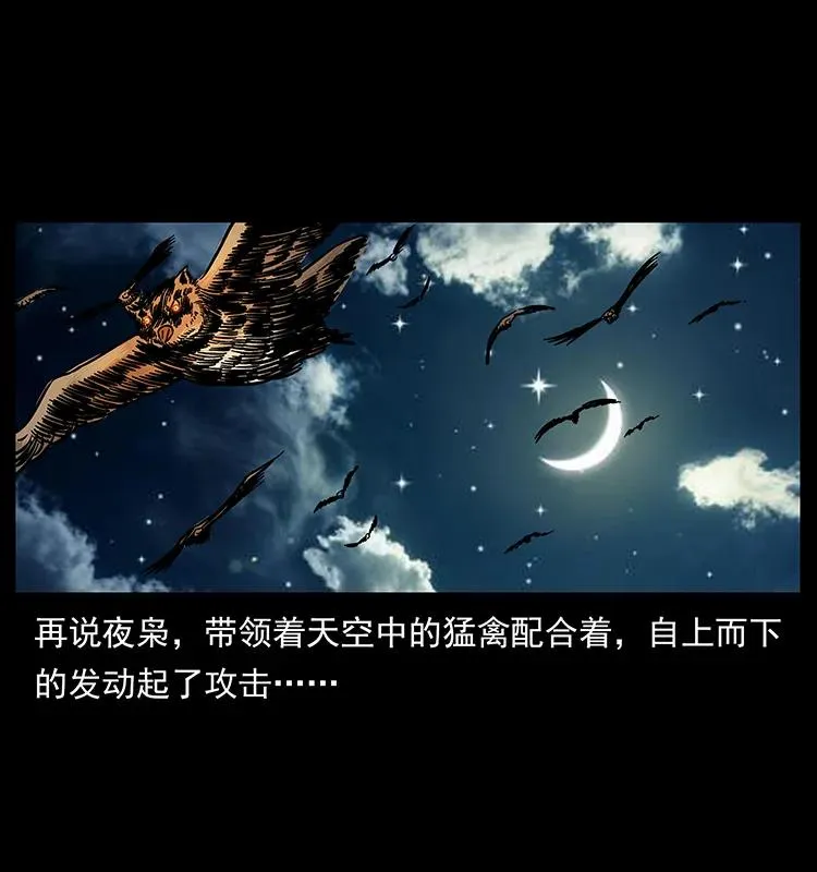 179 龙家的实力 第31页