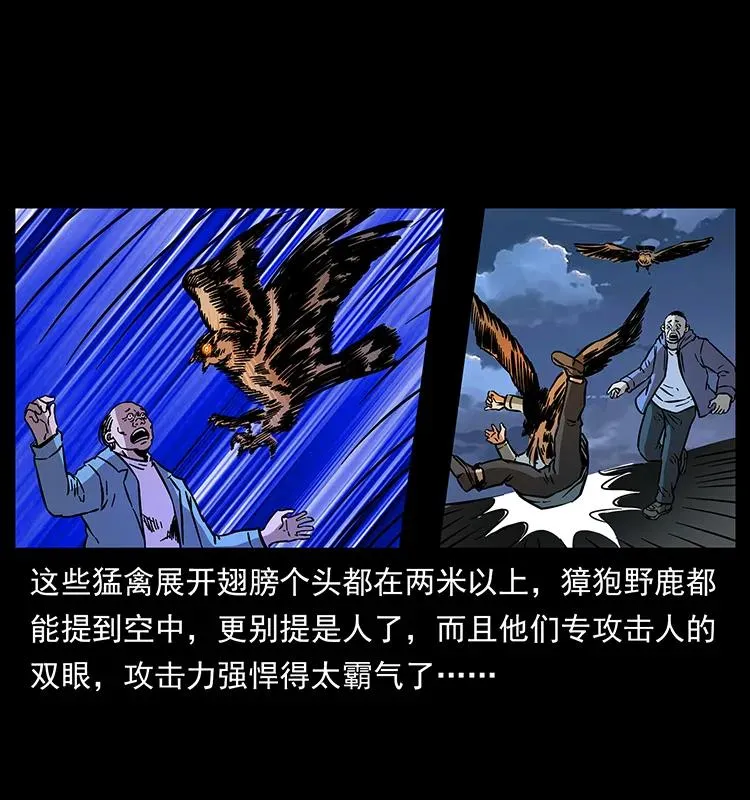 179 龙家的实力 第32页