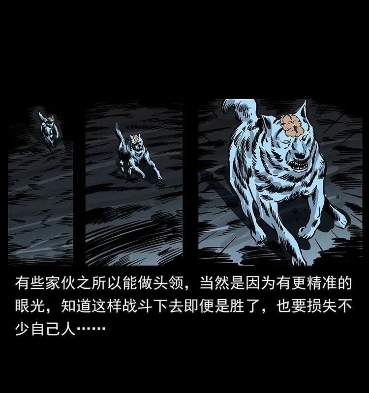 179 龙家的实力 第34页