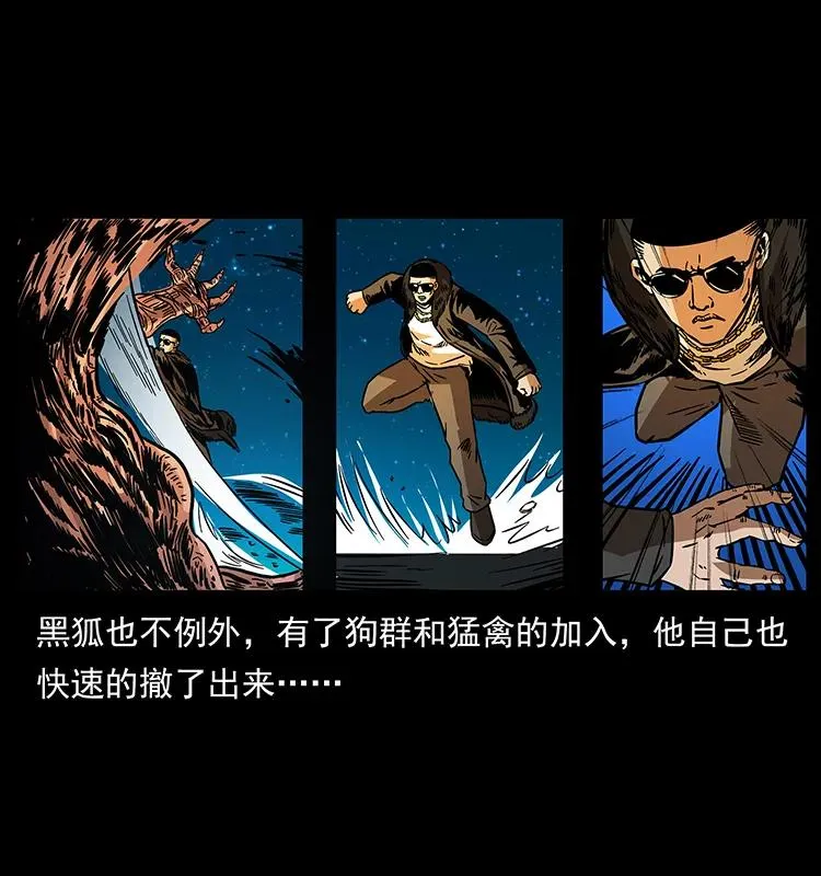 179 龙家的实力 第36页