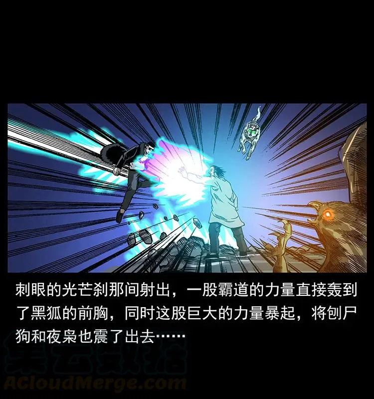 179 龙家的实力 第45页