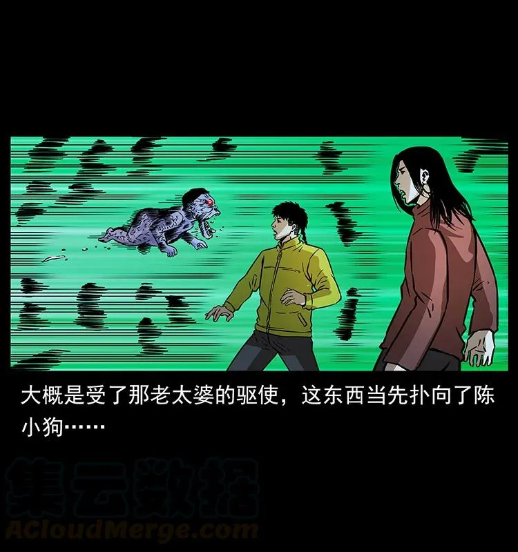 181 龙家人初现 第81页