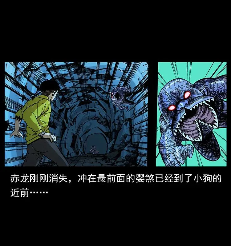 183 新的敌人 第15页