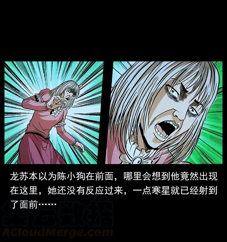 183 新的敌人 第33页