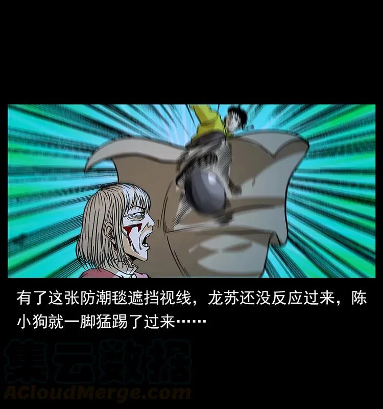 183 新的敌人 第41页