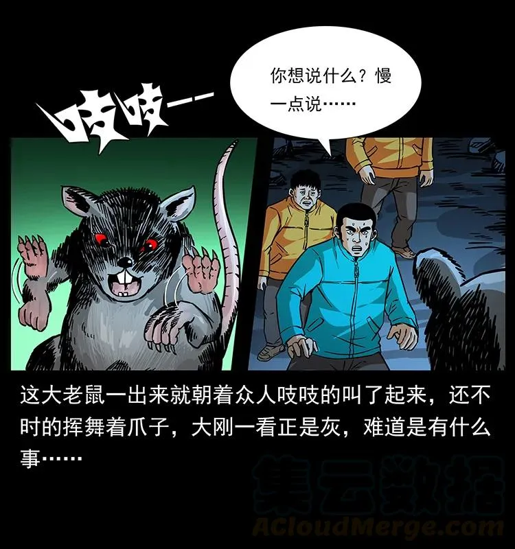 187 飞头降 第17页