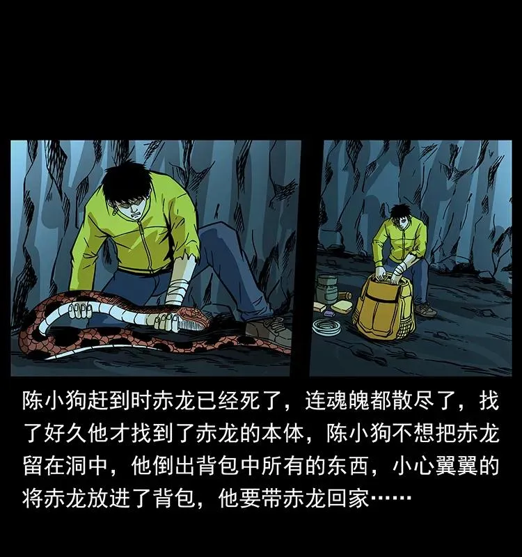187 飞头降 第50页