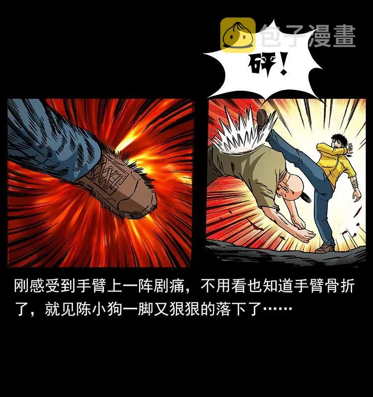187 飞头降 第56页