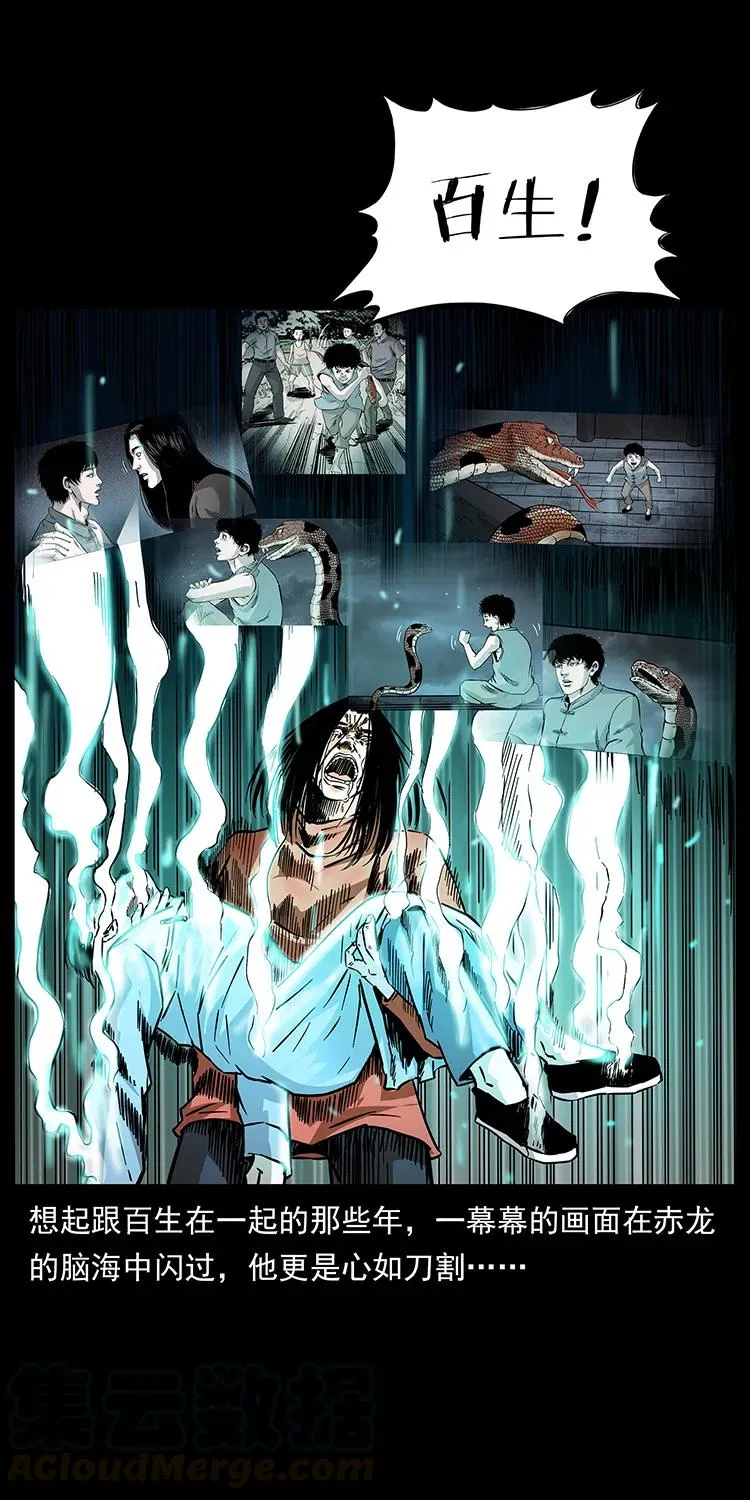 186 龙爵的报复 第13页