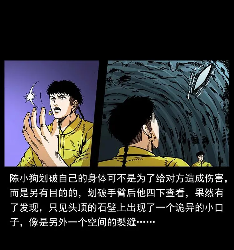 186 龙爵的报复 第64页