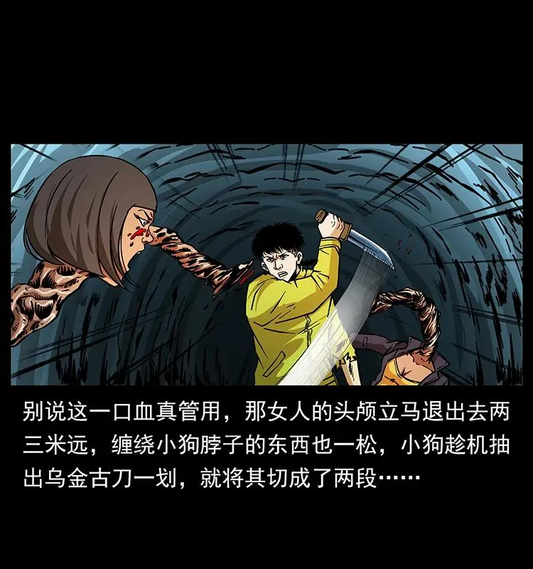 188 龙爵的实力 第6页
