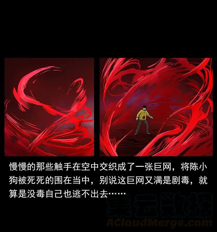 188 龙爵的实力 第69页