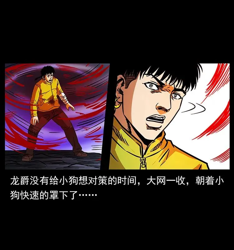 188 龙爵的实力 第70页