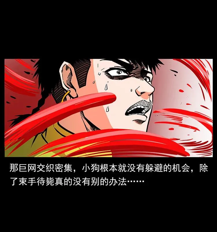 188 龙爵的实力 第71页