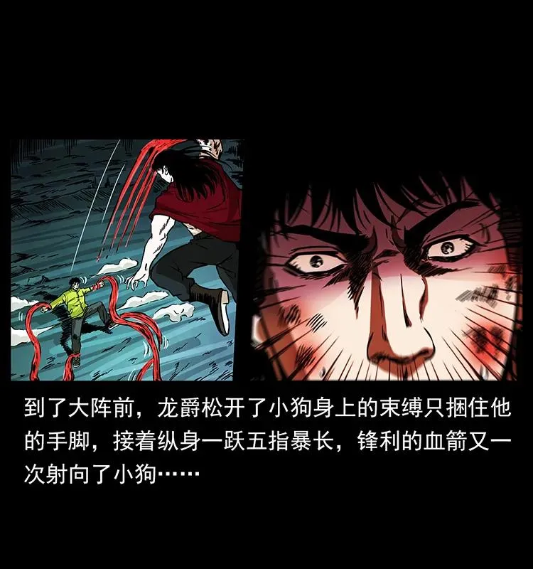 189 龙家的实力 第4页