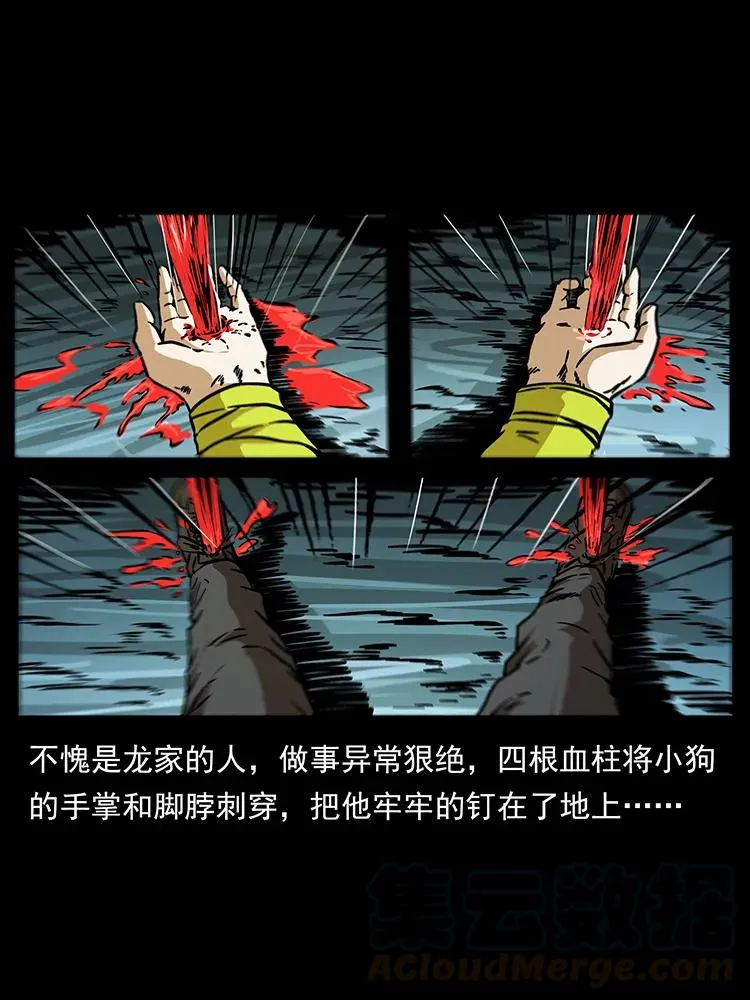 189 龙家的实力 第5页