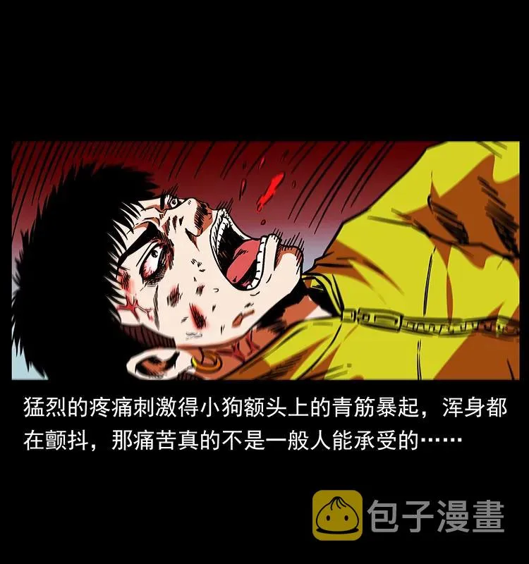189 龙家的实力 第6页