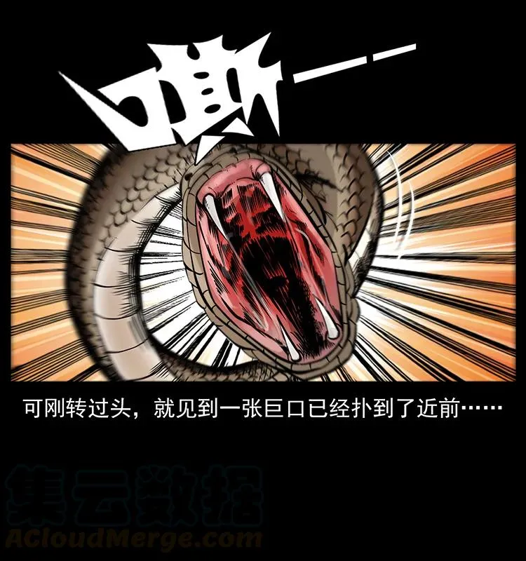 189 龙家的实力 第13页