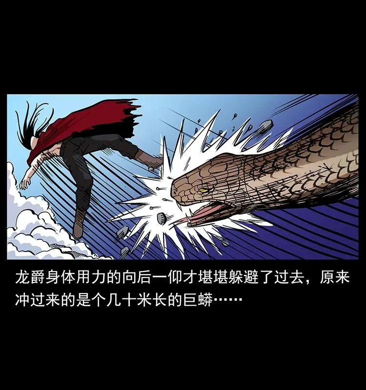 189 龙家的实力 第14页