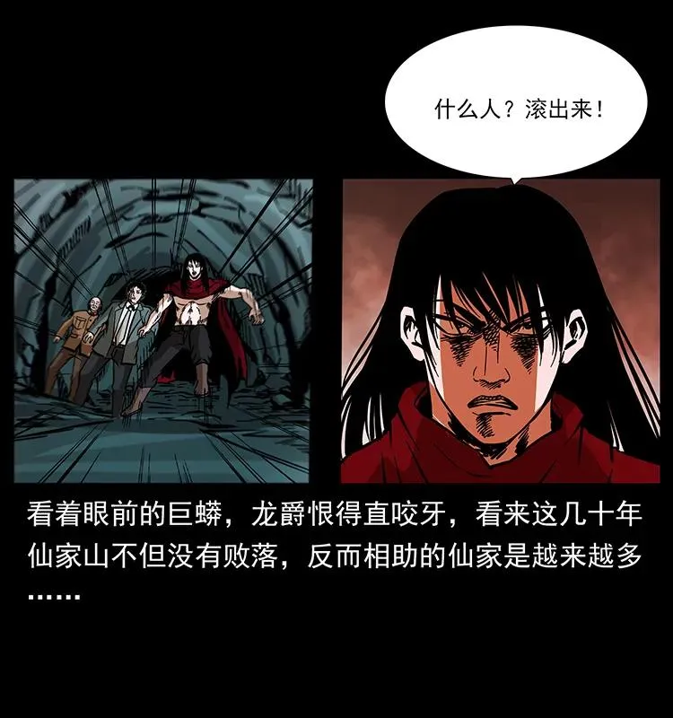 189 龙家的实力 第15页