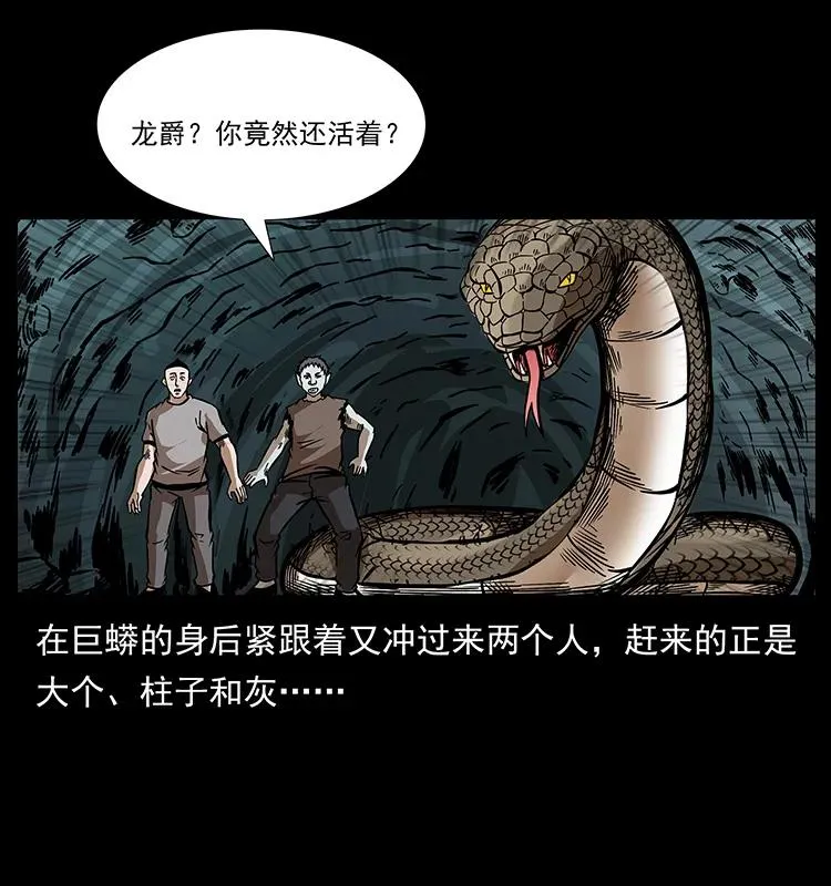 189 龙家的实力 第16页