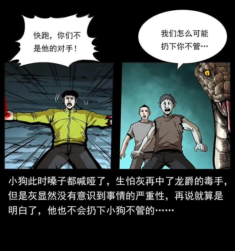 189 龙家的实力 第19页