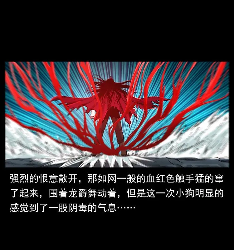 189 龙家的实力 第20页